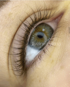 Brows by Jana