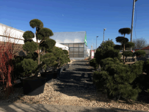 Edenia zahradní centrum