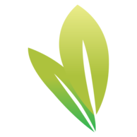 Flower Company, s.r.o