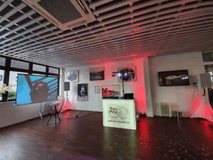 Profesionální DJ na svatbu a večírek