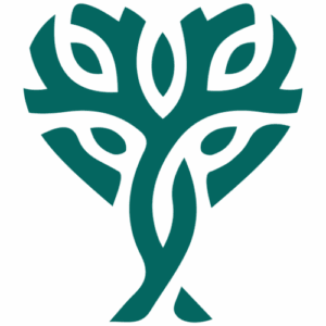 Seyes Healthcare s.r.o