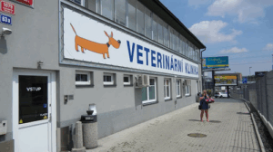 Veterinární klinika Poděbradská